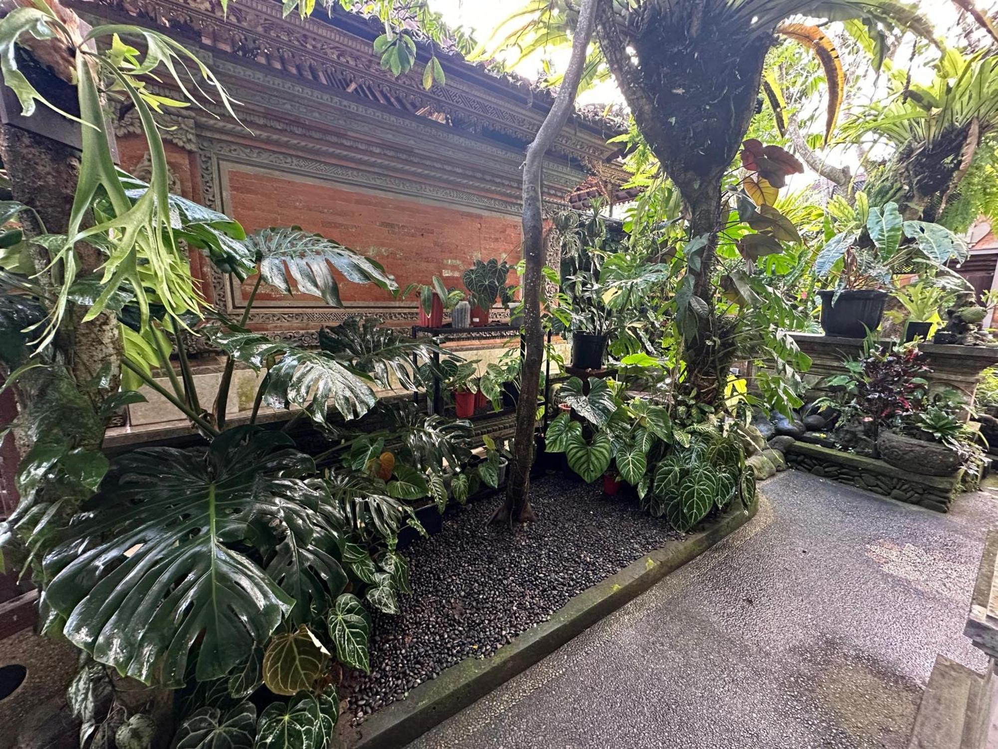 Naeera Guest House Ubud Exterior foto
